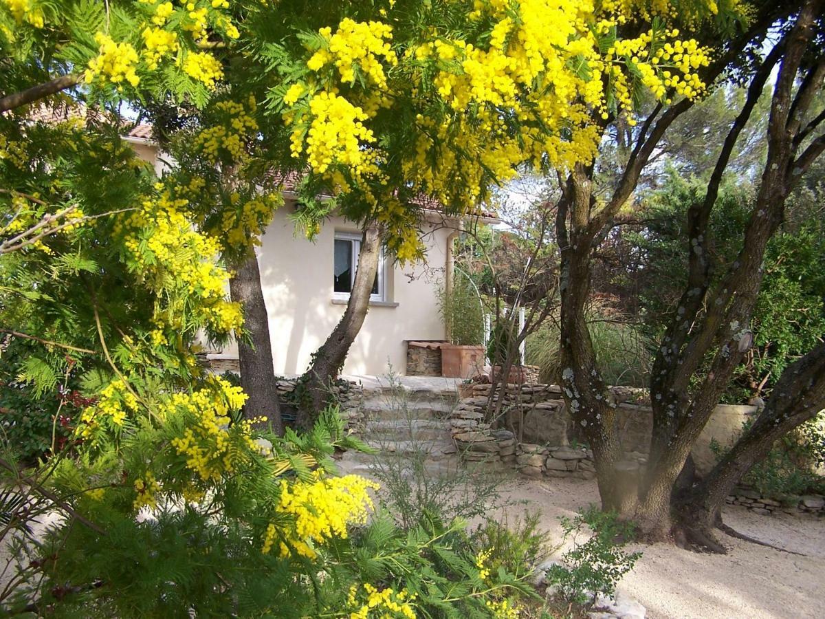 Апартаменты Les Florides Л'Иль-сюр-ла-Сорг Экстерьер фото